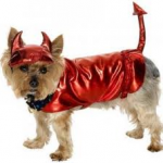 dog costume